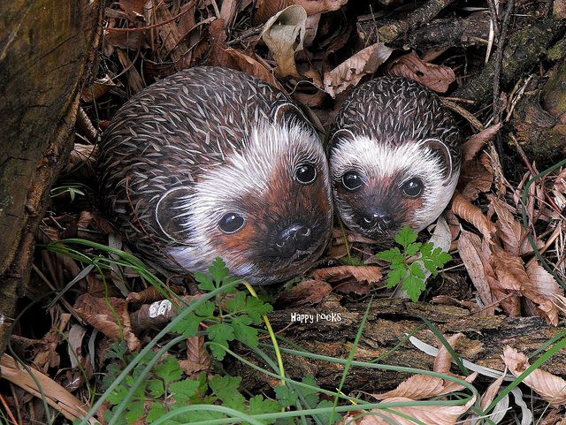 Painting Nature Pebbles
