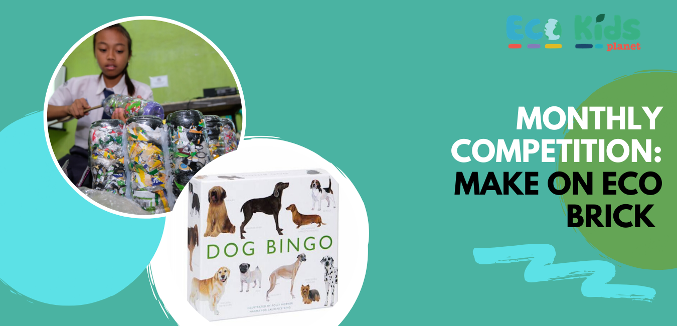 Build an Ecobrick: Competition Winners