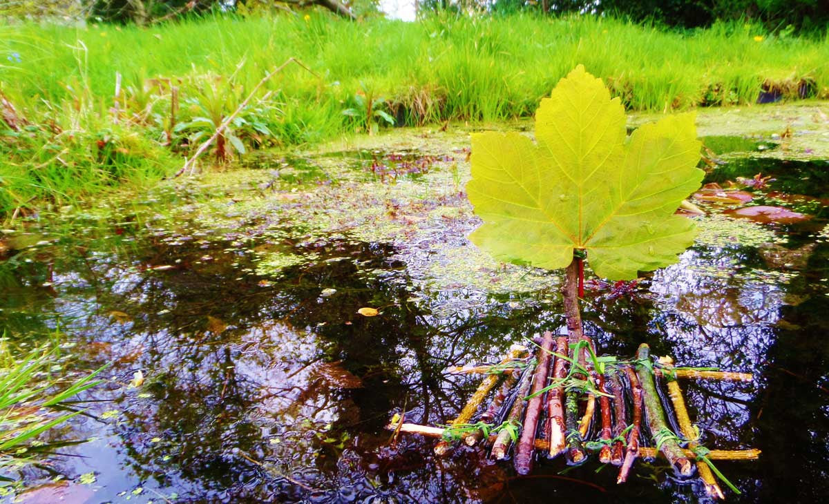 Host a Great Lake Raft Race!