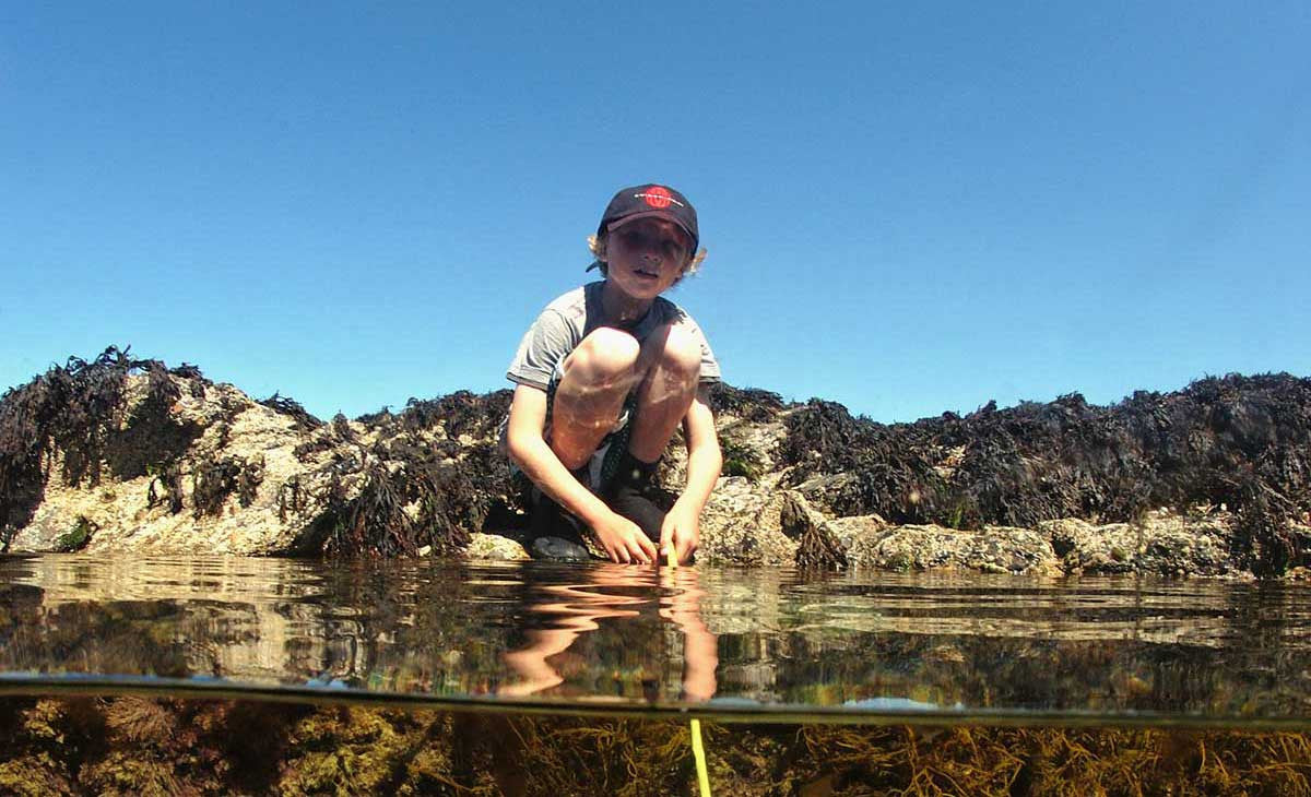 This summer, go ROCK-POOLING!