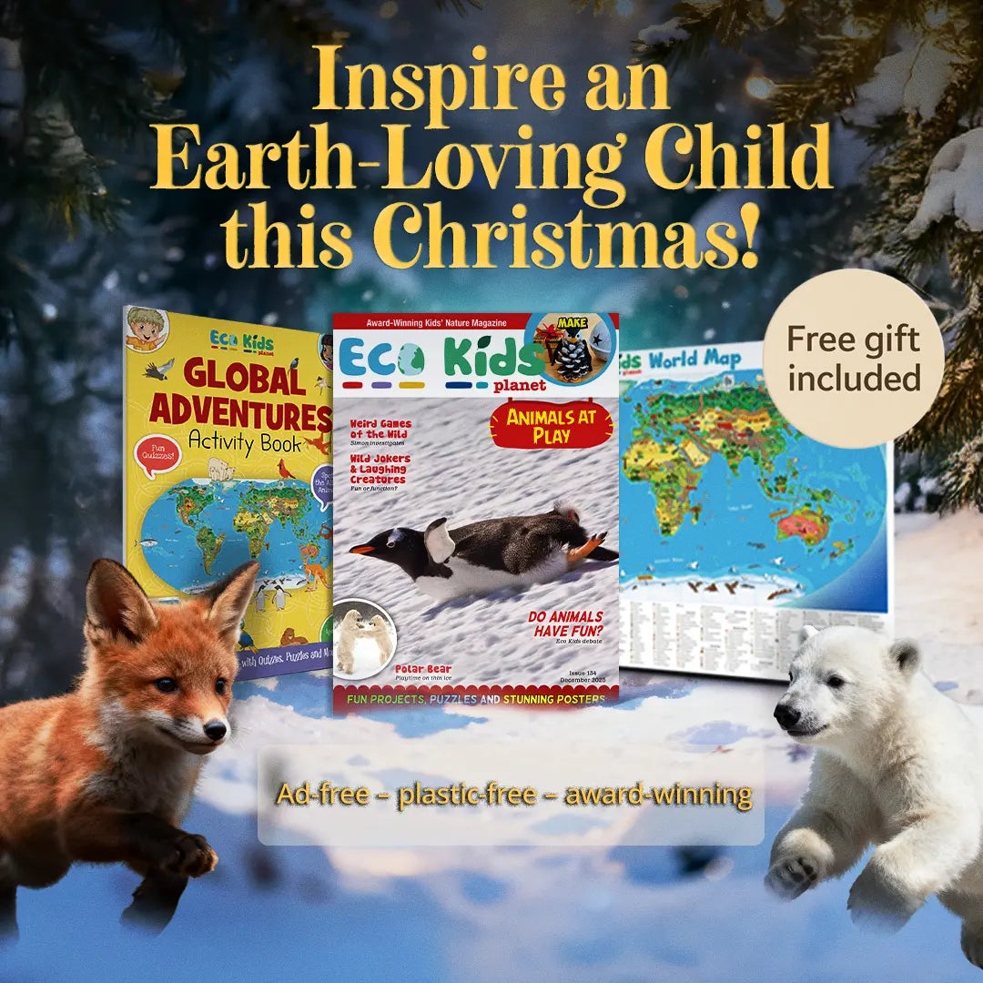 Eco Kids Planet Magazine – Gift Subscription