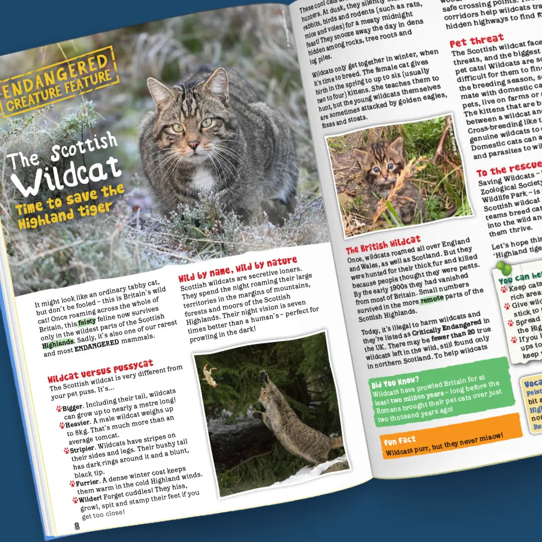 Magazine Subscriptions for Kids: Gift | Eco Kids Planet