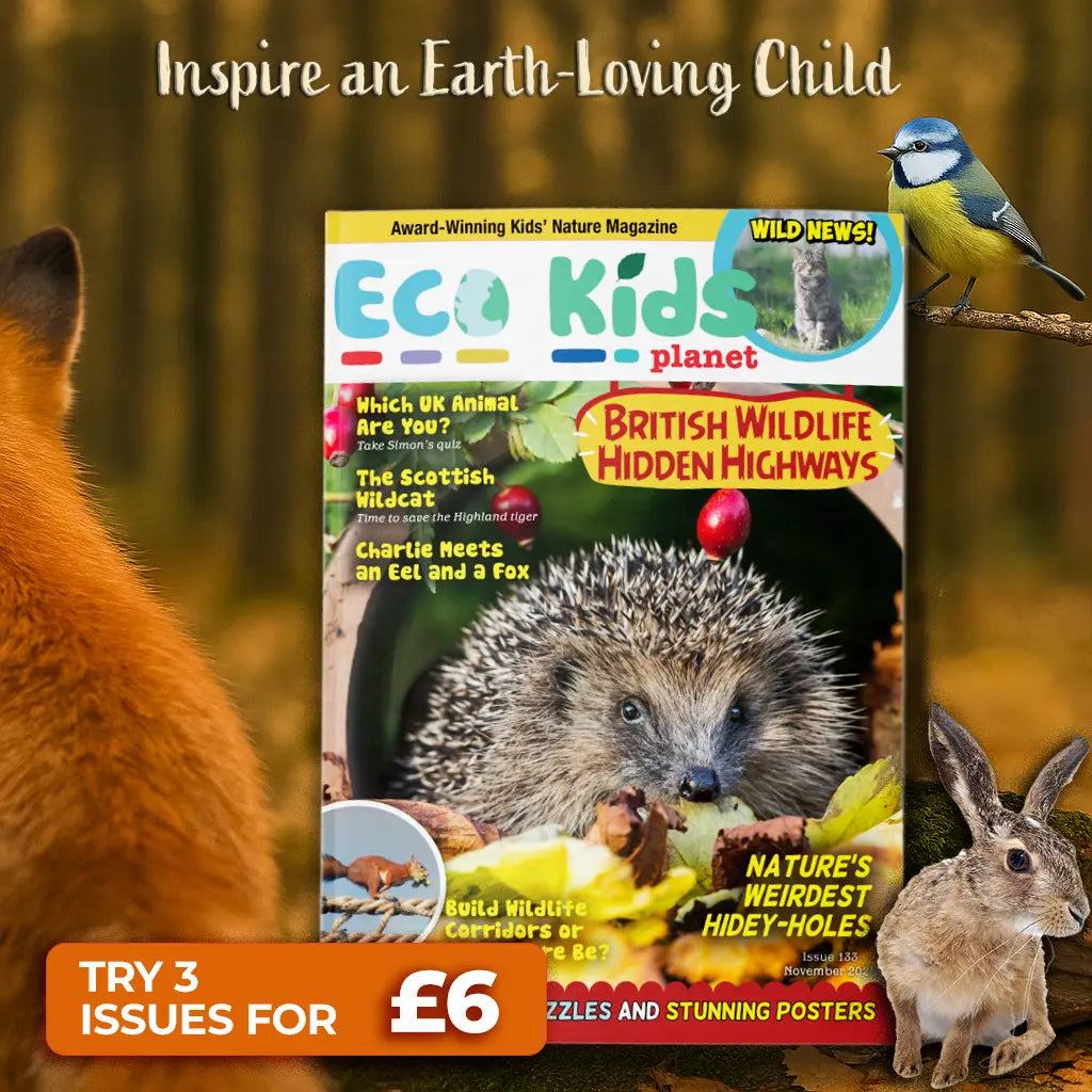 Magazine Subscription for Kids: Taster | Eco Kids Planet
