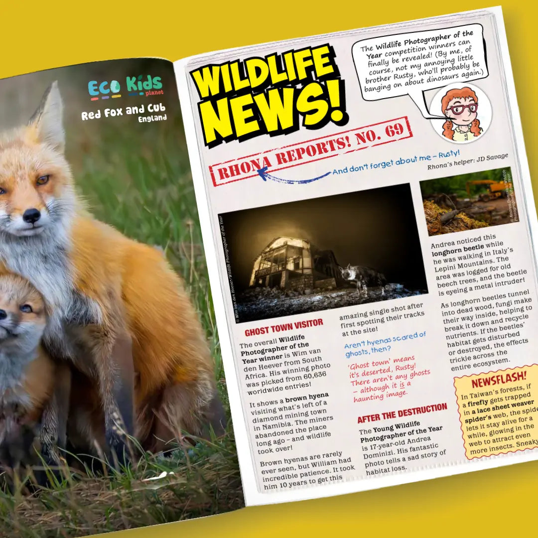 Magazine Subscriptions for Kids: Gift | Eco Kids Planet