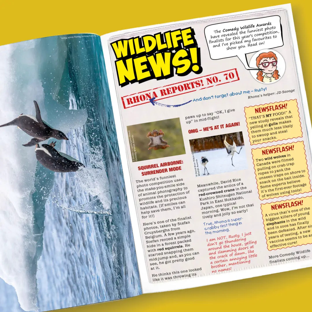 Magazine Subscription for Kids: Taster | Eco Kids Planet