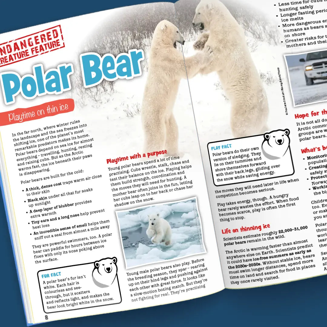 Magazine Subscription for Kids: Taster | Eco Kids Planet