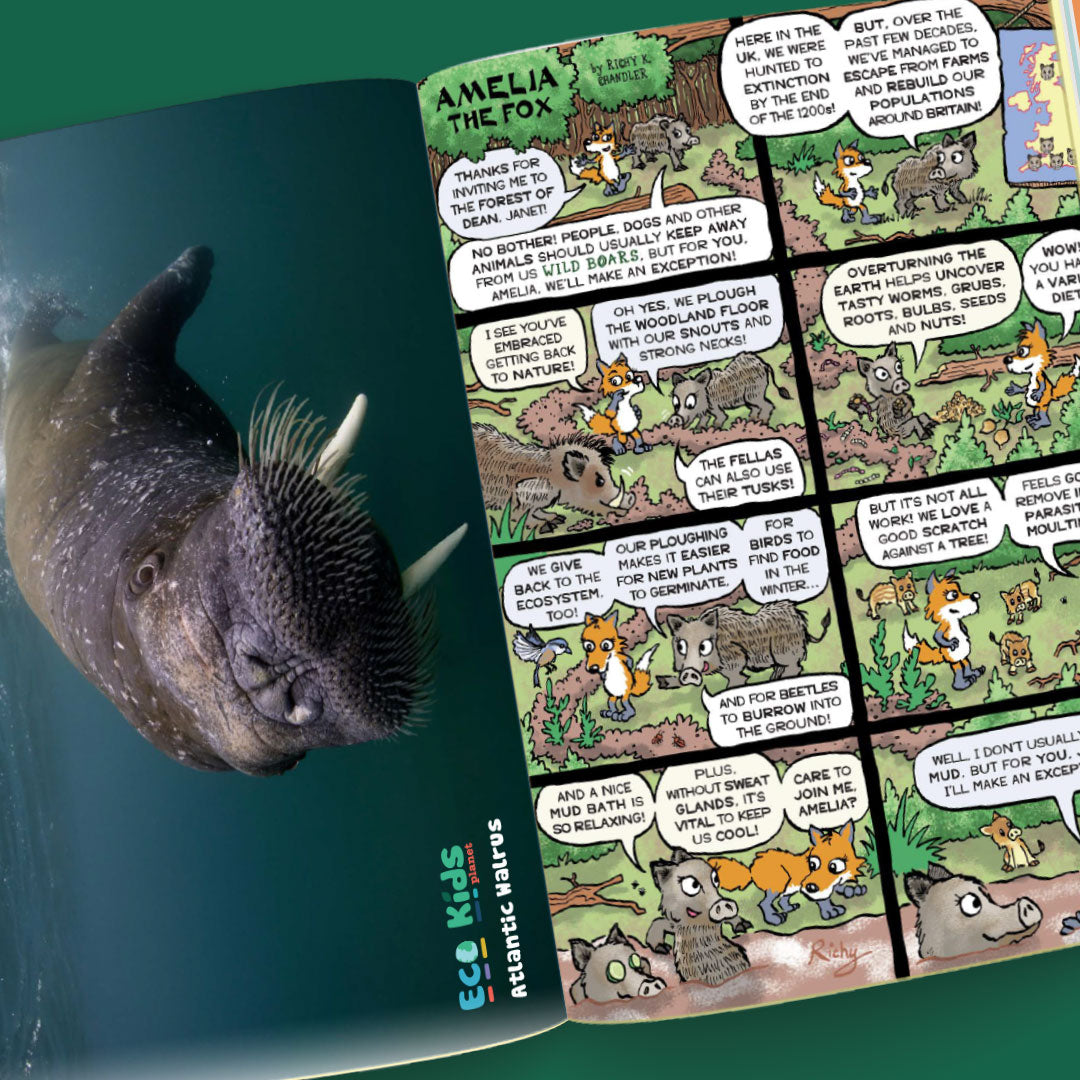 Kid&#39;s Nature Magazines – Issue 127 – Tusk Titans