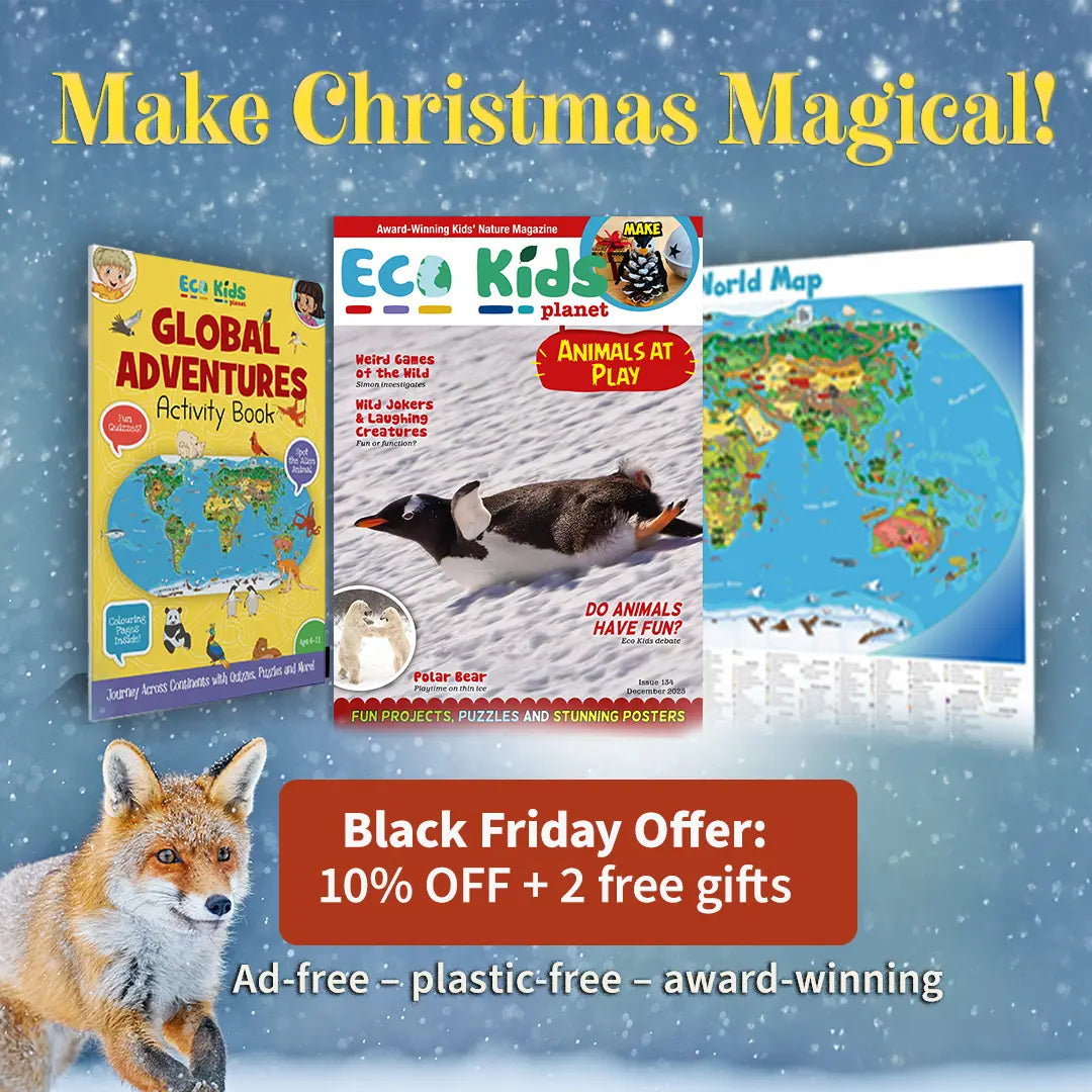 Children's Magazine Subscription – Christmas Special
