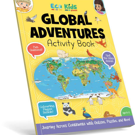 Global Adventures Activity Book