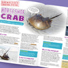 Eco Kids Planet Magazine - 3-Monthly Subscription