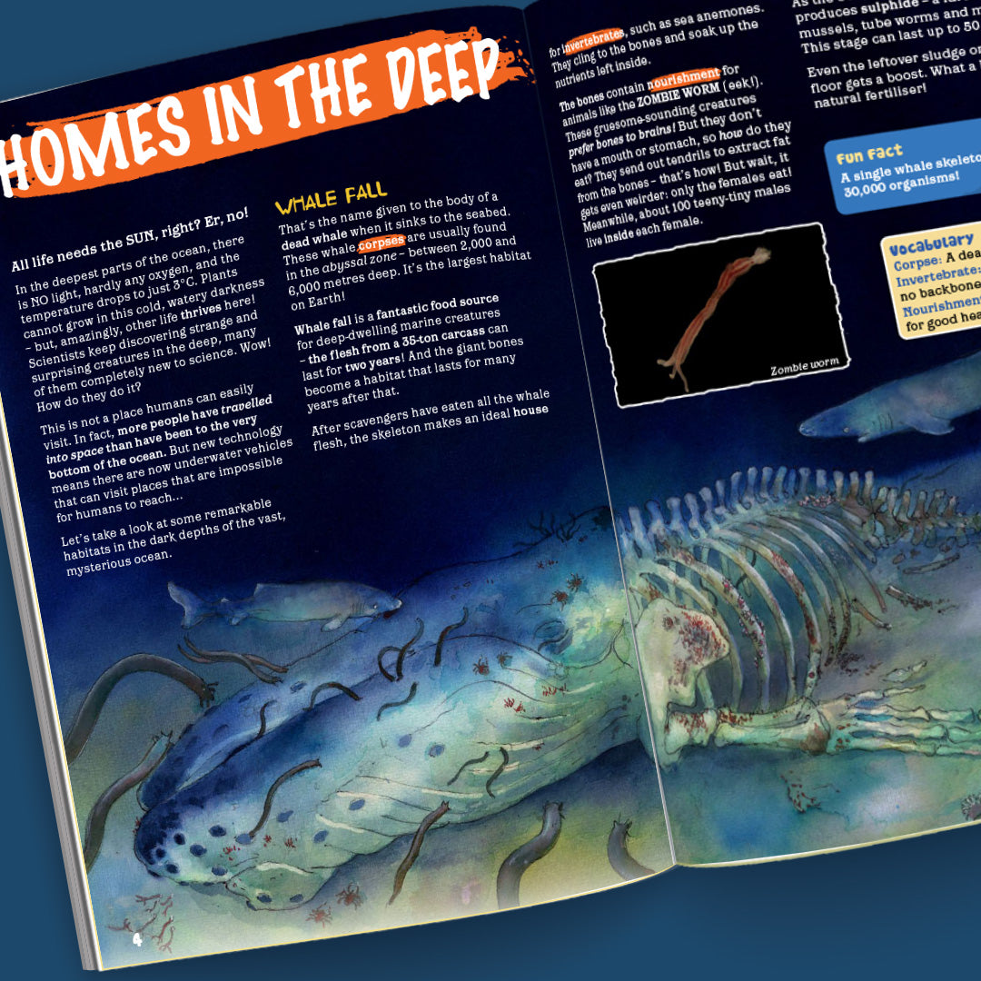 Sea Creatures Collection