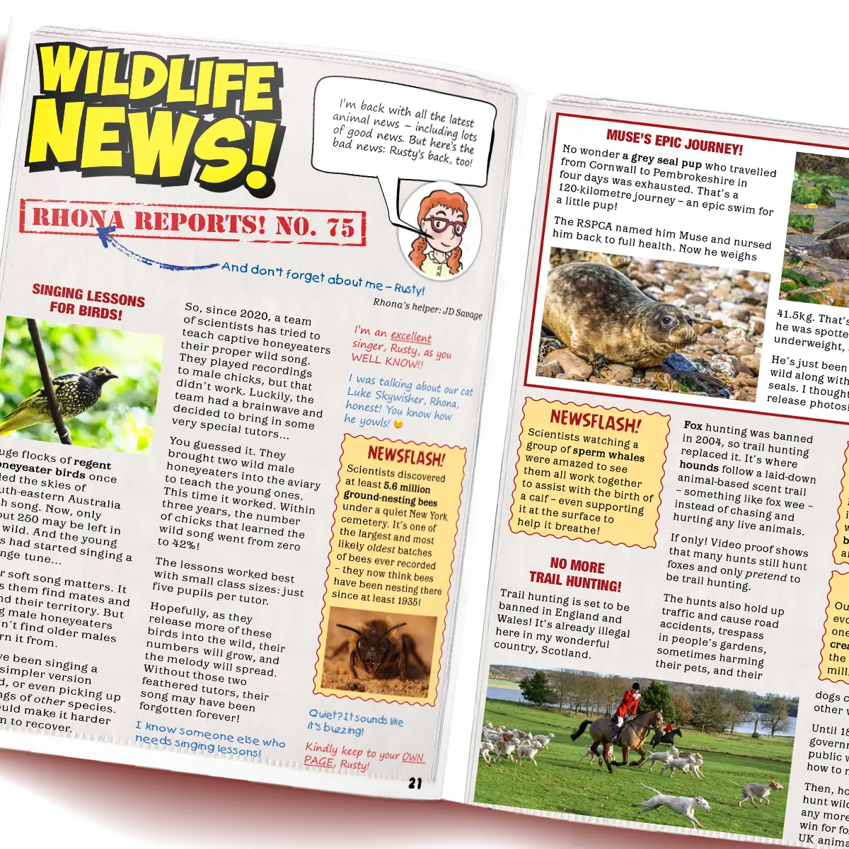 Eco Kids Planet Magazine – Gift Subscription