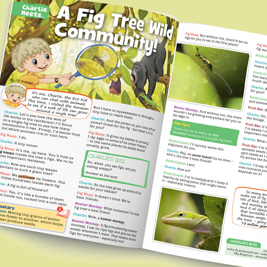 Kid&#39;s Nature Magazines – Issue 129-130 – Web of Life