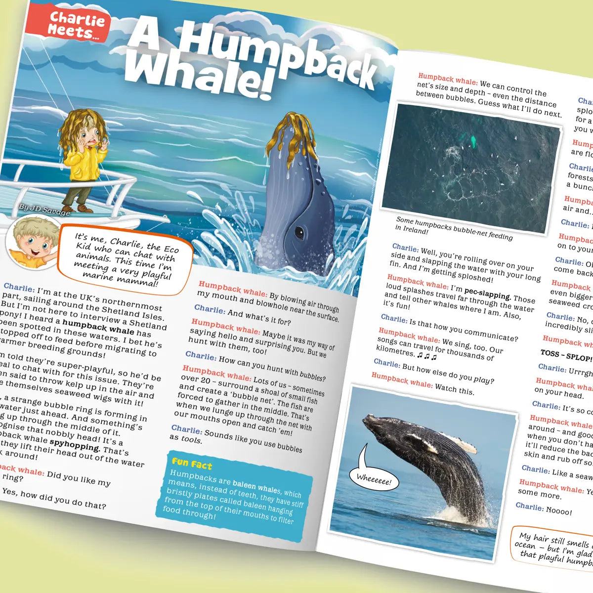 Magazine Subscription for Kids: Taster | Eco Kids Planet