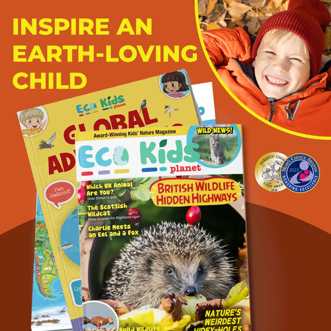 Magazine Subscriptions for Kids: Gift | Eco Kids Planet