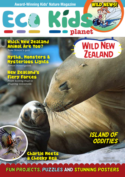 Kid's Nature Magazines – Issue 131 – Wild New Zealand