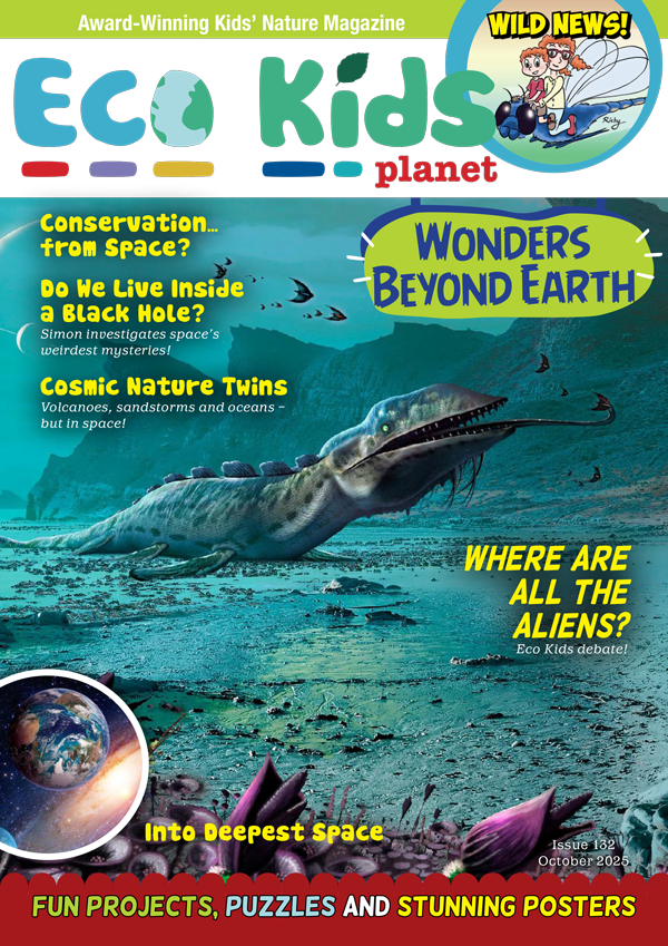 Magazine Subscription for Kids: Taster | Eco Kids Planet