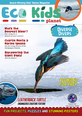 Eco Kids Planet Magazine - 12-Monthly Subscription (Freebie)