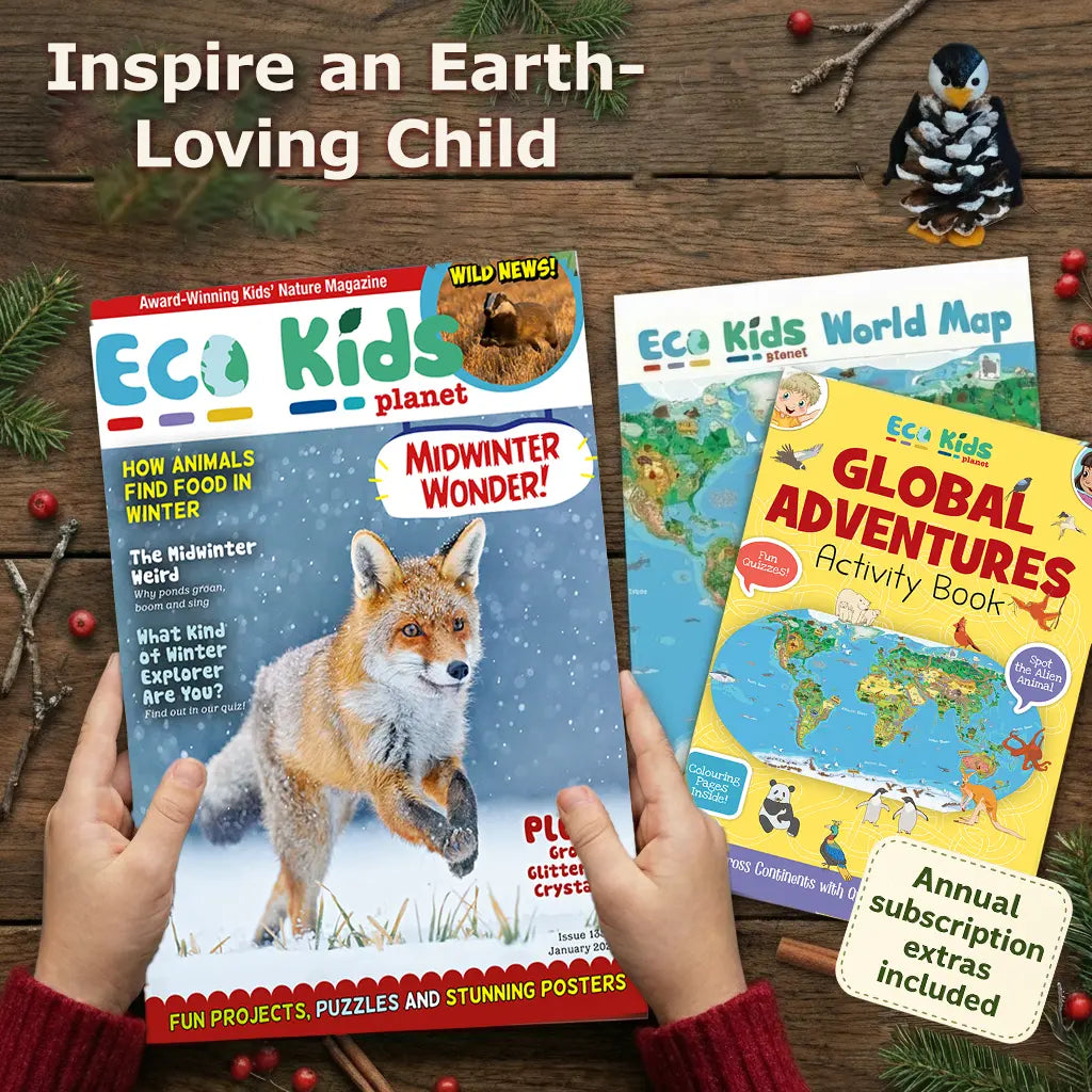 Eco Kids Planet Magazine – Ongoing Subscription