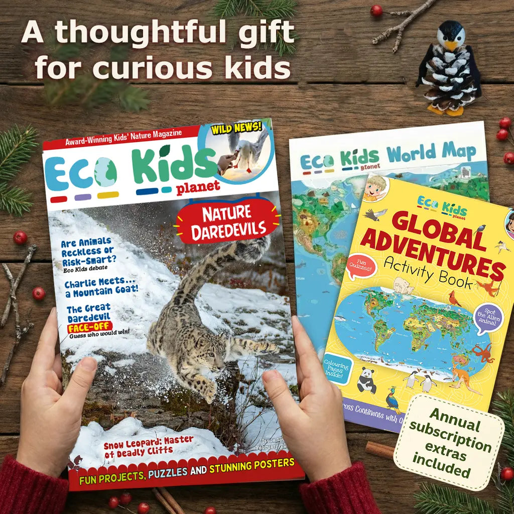 Eco Kids Planet Magazine – Ongoing Subscription