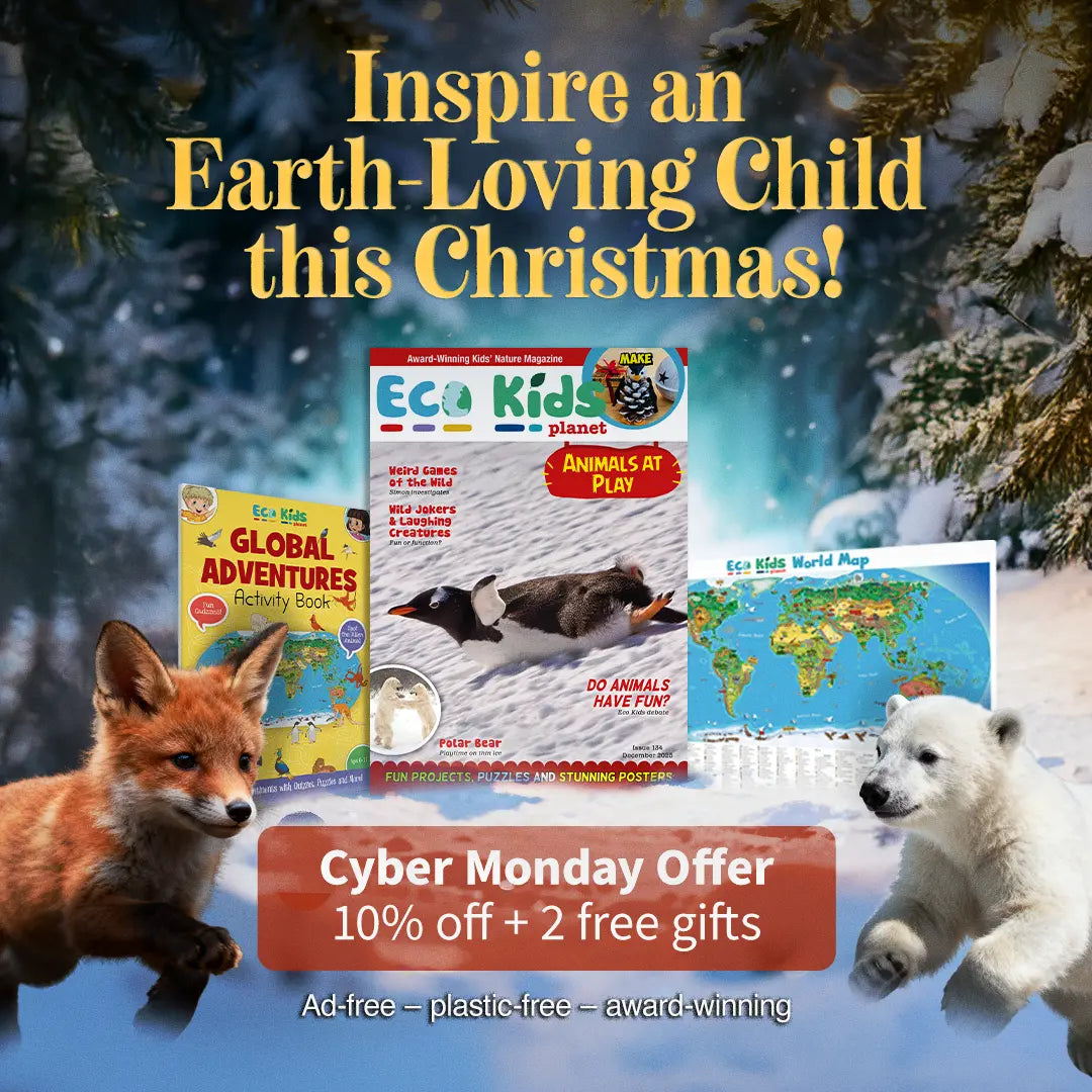 Eco Kids Planet Magazine Subscription