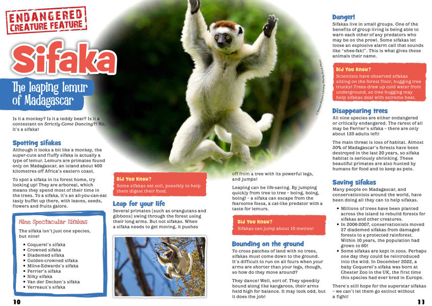 Kid&#39;s Nature Magazines – Issue 103 - Jumpers