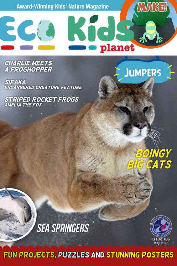 Kid's Nature Magazines – Issue 103 - Jumpers