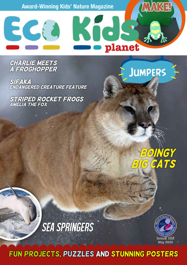 Kid's Nature Magazines – Issue 103 - Jumpers