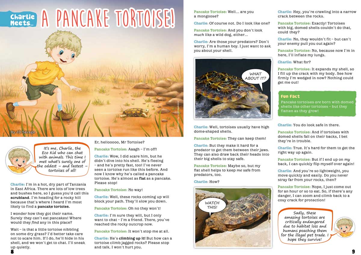 Kid's Nature Magazines – Issue 104 - Turtles of the World - Eco Kids Planet
