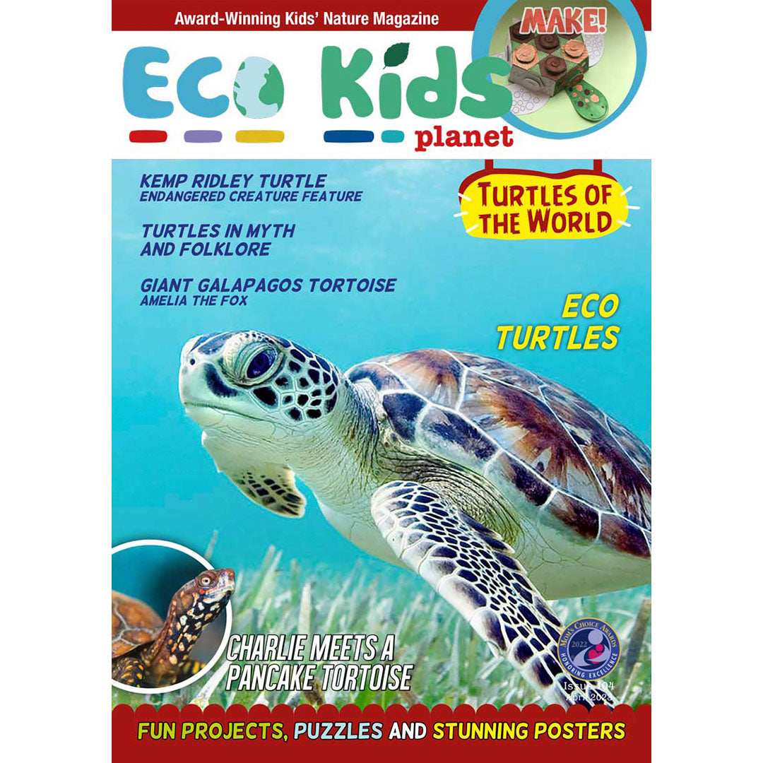 Sea Creatures Collection