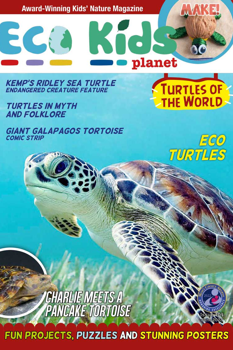 Kid's Nature Magazines – Issue 104 - Turtles of the World
