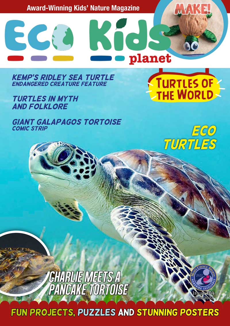 Kid's Nature Magazines – Issue 104 - Turtles of the World - Eco Kids Planet