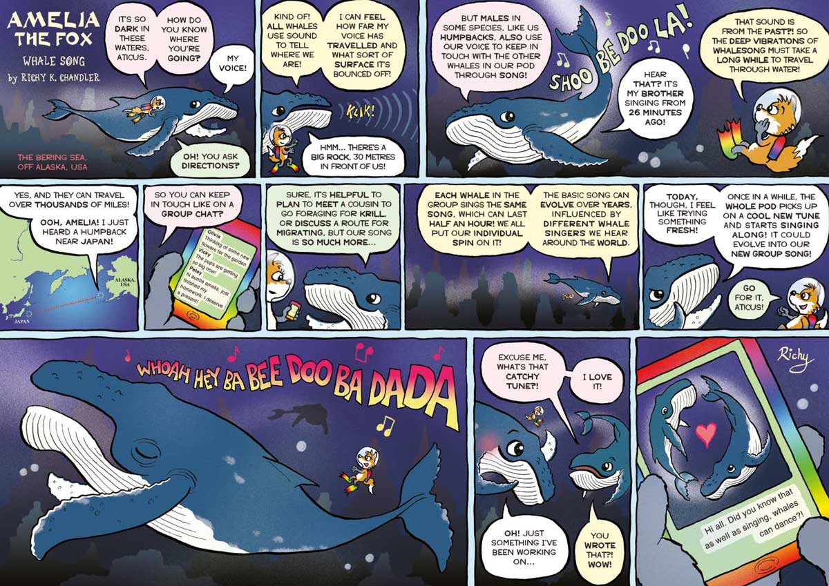 Kid&#39;s Nature Magazines – Issue 105/106 - Nature&#39;s Music