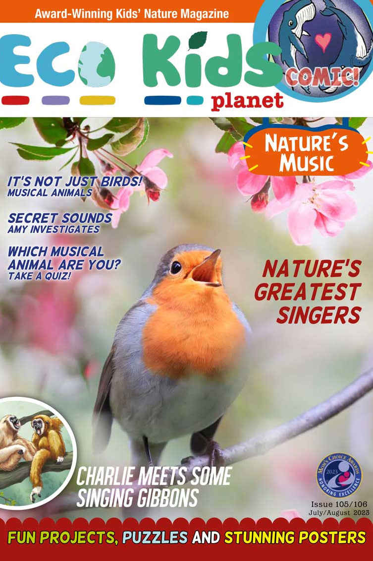 Kid's Nature Magazines – Issue 105/106 - Nature's Music