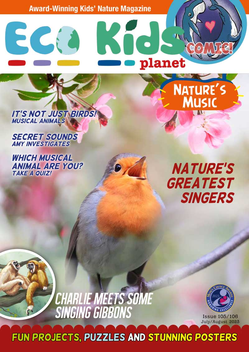 Kid's Nature Magazines – Issue 105/106 - Nature's Music