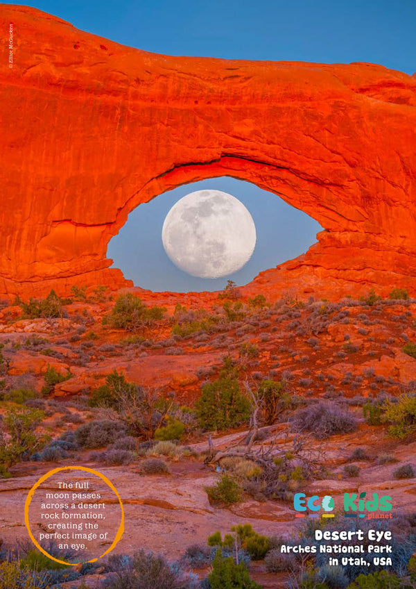 Kid's Nature Magazines – Issue 107 - Mysterious Moon - Eco Kids Planet