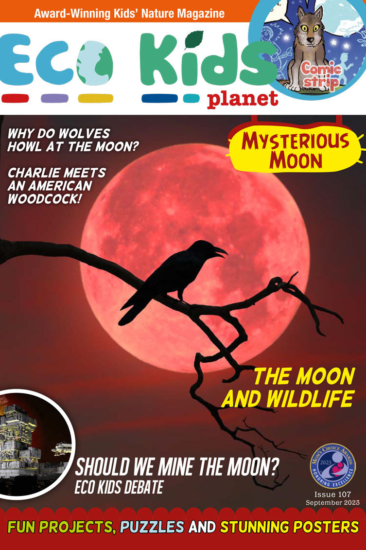 Kid's Nature Magazines – Issue 107 - Mysterious Moon