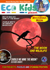 Kid&#39;s Nature Magazines – Issue 107 - Mysterious Moon