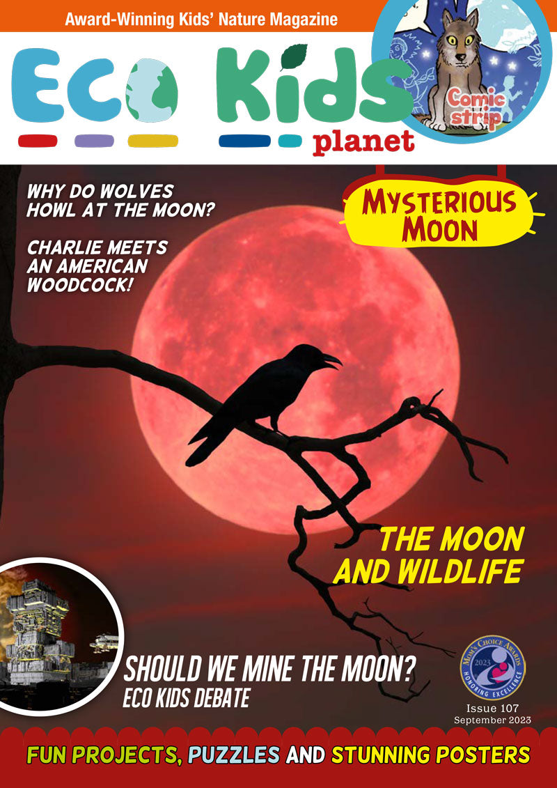 Kid's Nature Magazines – Issue 107 - Mysterious Moon