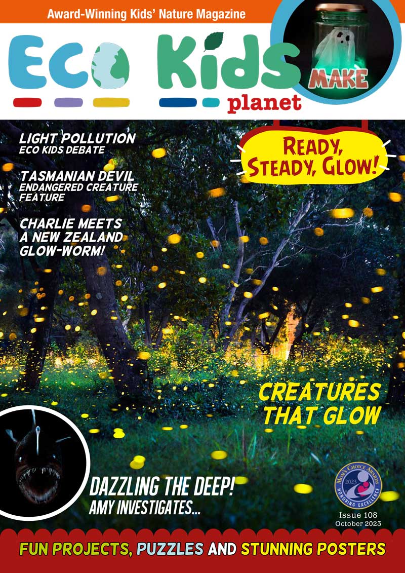 Kid's Nature Magazines – Issue 108 - Ready, Steady, Glow!