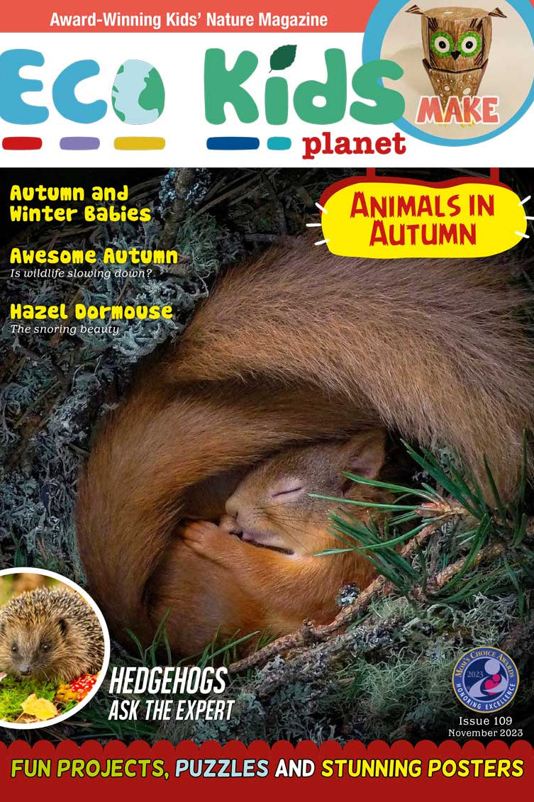 Kid's Nature Magazines – Issue 109 – Animals in Autumn!