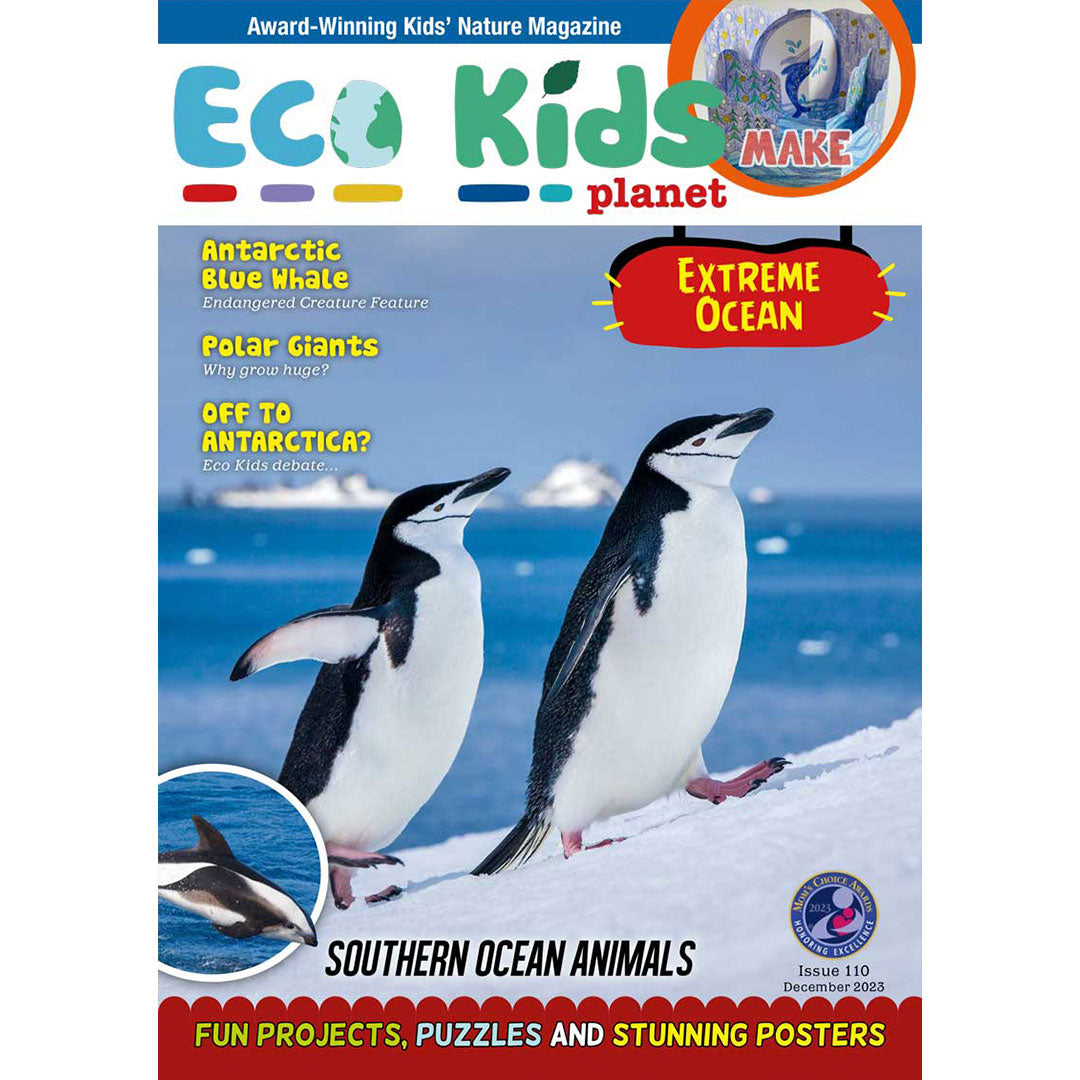 Sea Creatures Collection