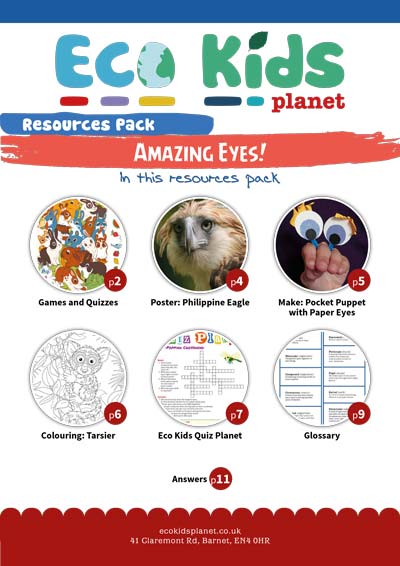 Resource pack for issue 112, Amazing Eyes