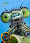 Kid&#39;s Nature Magazines – Issue 112 – Amazing Eyes