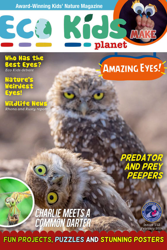 Kid's Nature Magazines – Issue 112 – Amazing Eyes