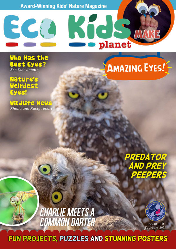 Kid's Nature Magazines – Issue 112 – Amazing Eyes