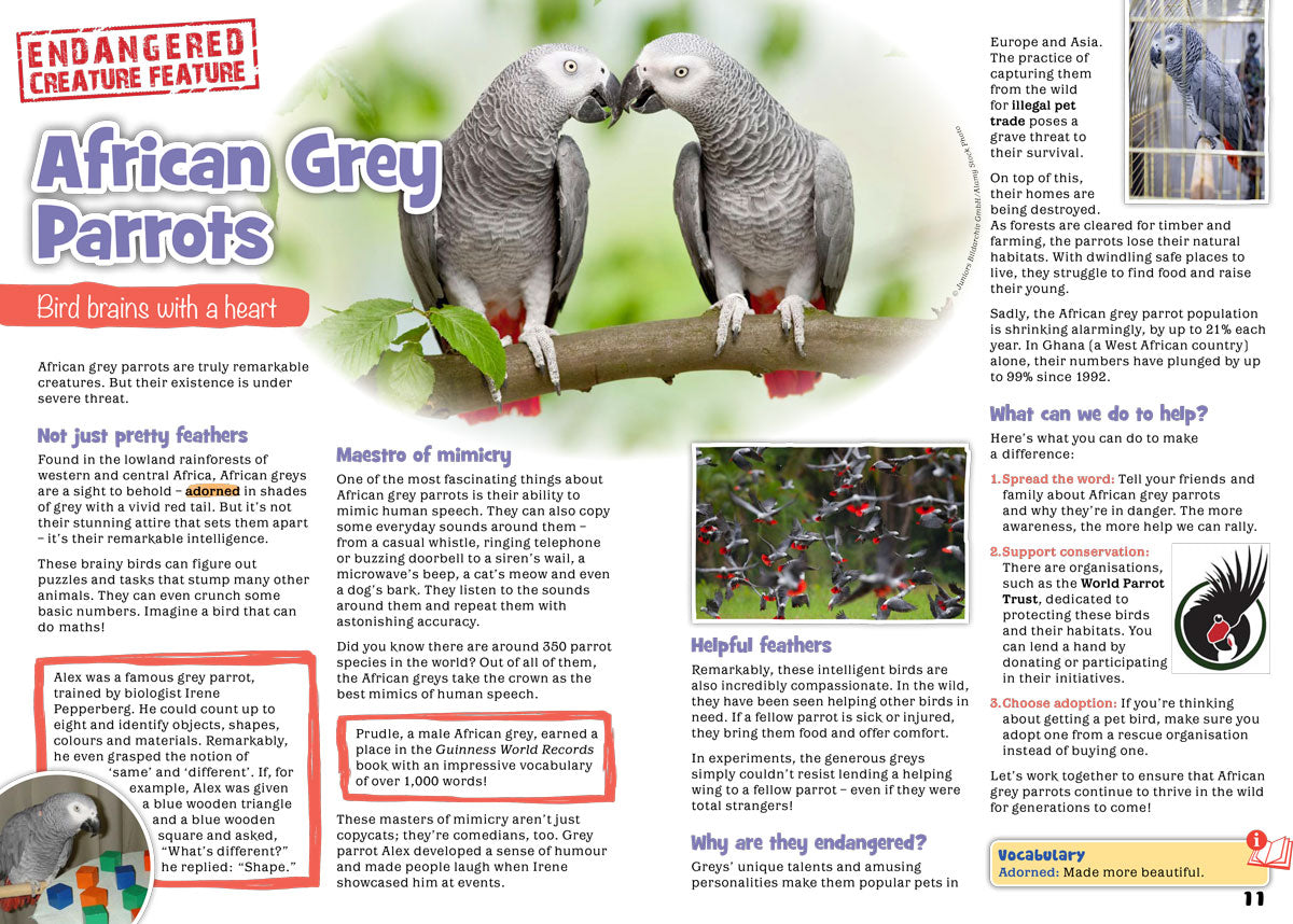 Kid&#39;s Nature Magazines – Issue 113 – Clever Creatures