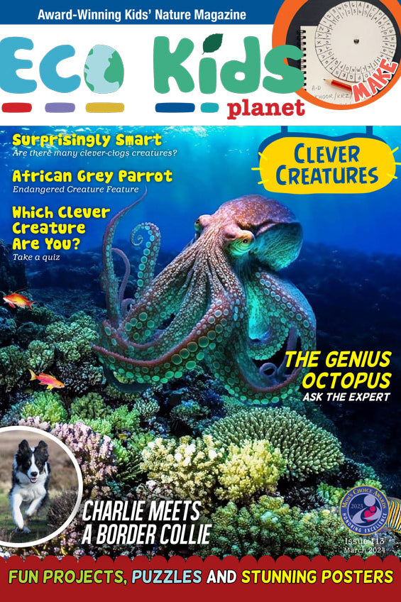 Kid's Nature Magazines – Issue 113 – Clever Creatures