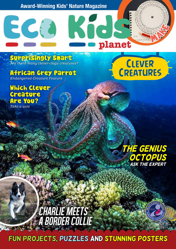 Kid's Nature Magazines – Issue 113 - Clever Creatures