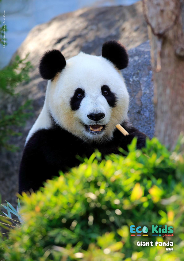 Kid&#39;s Nature Magazines – Issue 114 – Extreme Eaters